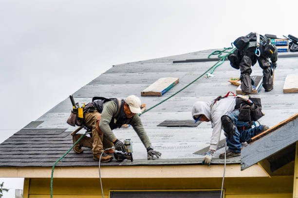 Professional Storm Damage Roof Repair technician working in Hamilton, MS